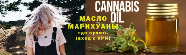 хмурый Инсар