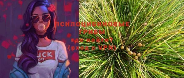 хмурый Инсар