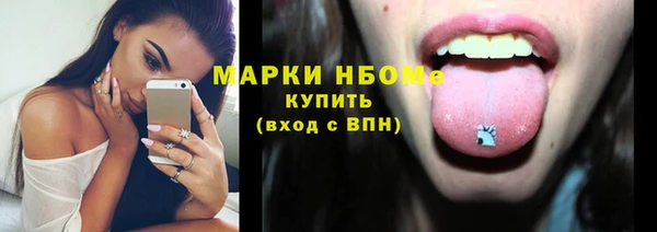 хмурый Инсар