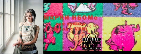 хмурый Инсар