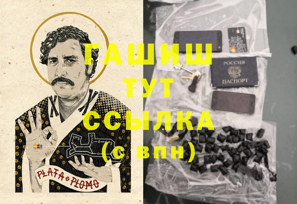 хмурый Инсар
