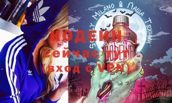 хмурый Инсар