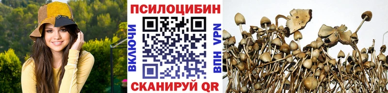Галлюциногенные грибы Psilocybe  Купить закладки  Нея 